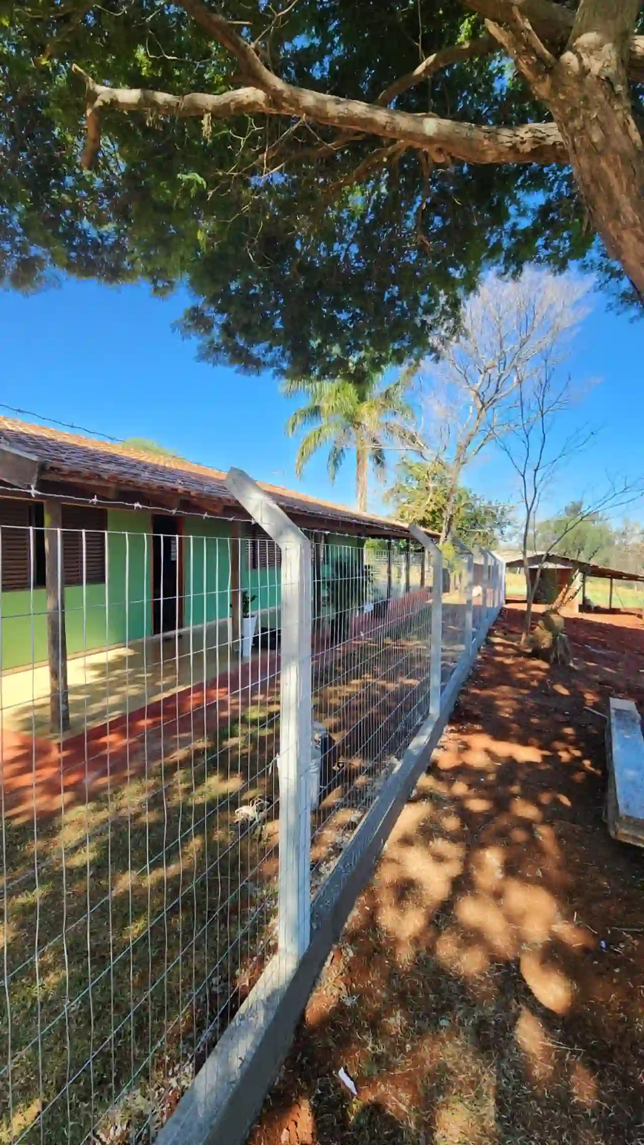 Cercamento rural com tela soldada e árvores ao fundo